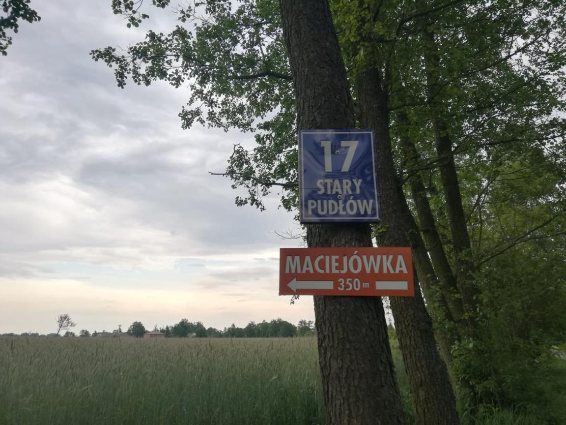 Maciejowka Gospodarstwo Agroturystyczne Poddebice Exteriör bild