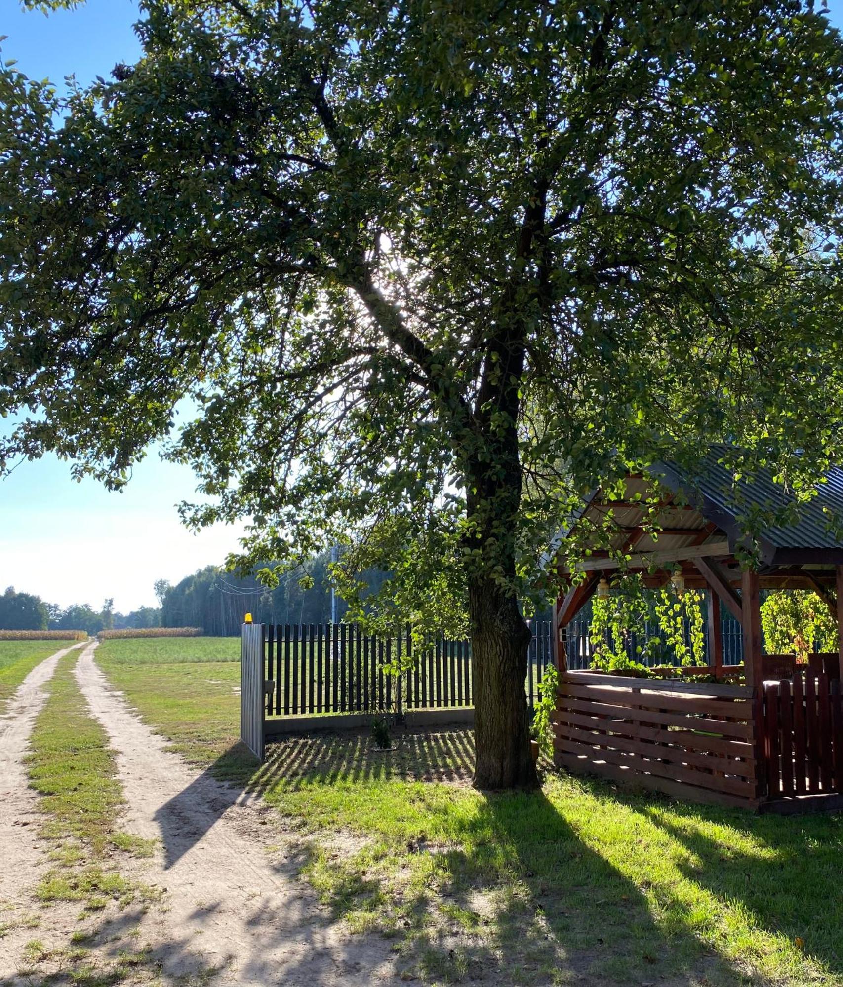 Maciejowka Gospodarstwo Agroturystyczne Poddebice Exteriör bild