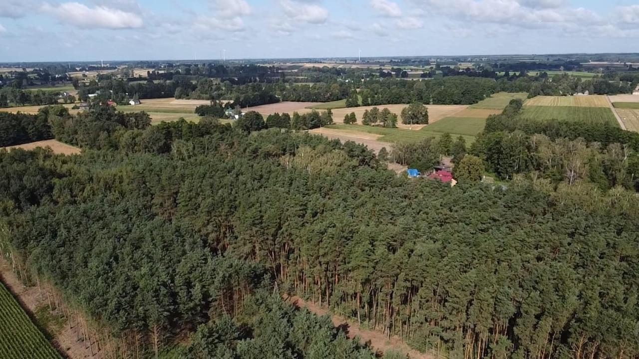 Maciejowka Gospodarstwo Agroturystyczne Poddebice Exteriör bild