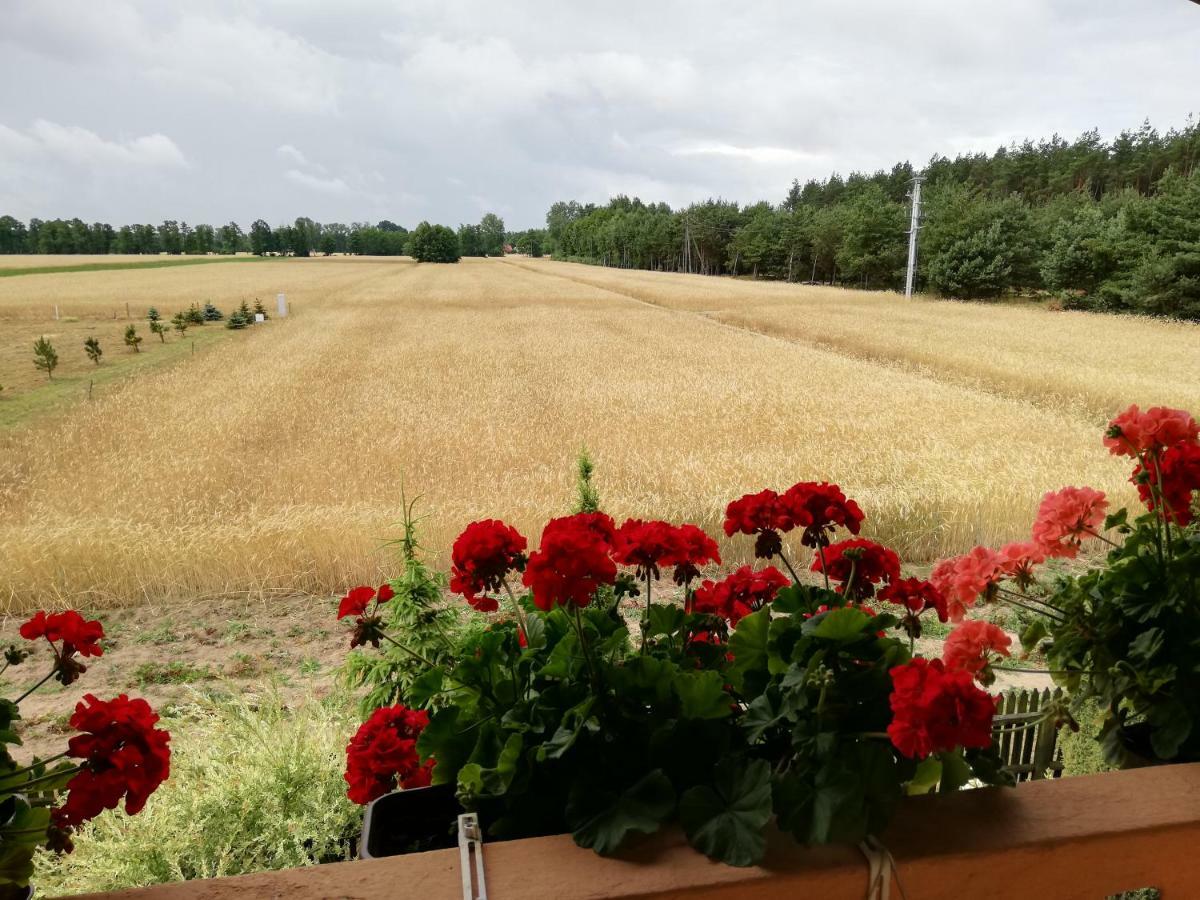 Maciejowka Gospodarstwo Agroturystyczne Poddebice Exteriör bild