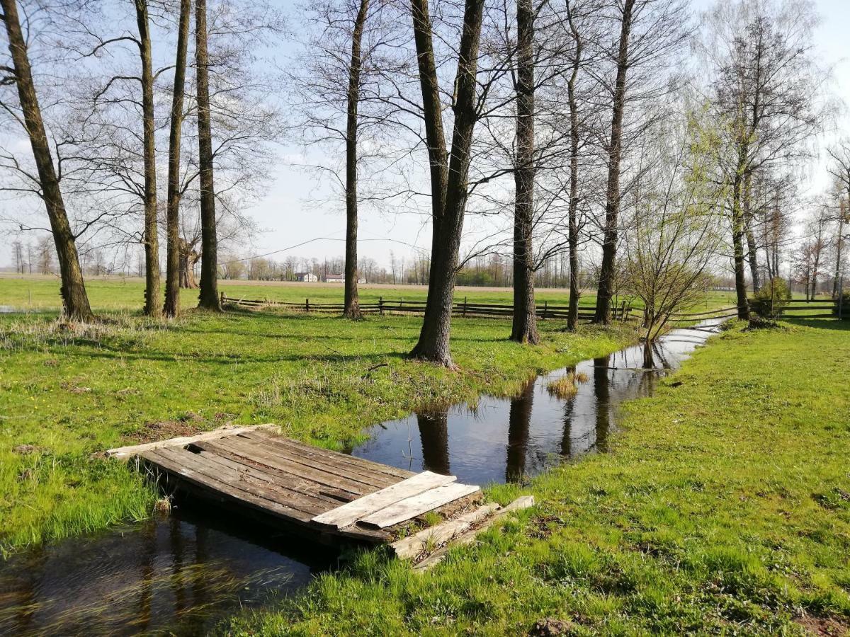 Maciejowka Gospodarstwo Agroturystyczne Poddebice Exteriör bild
